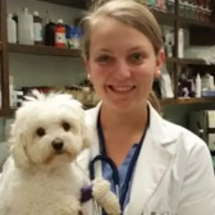 Dr. Heather Theriot in University Animal Clinic